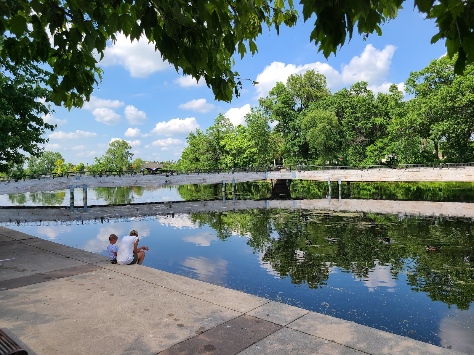 Mill Pond Park — photo