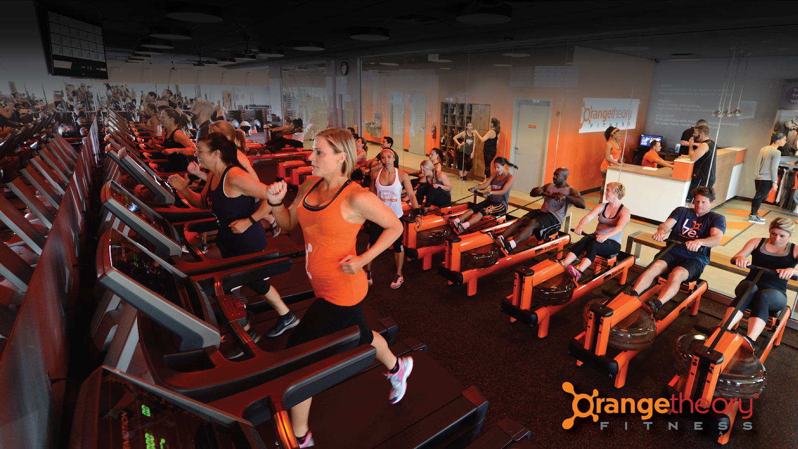 Orangetheory Fitness in Brighton